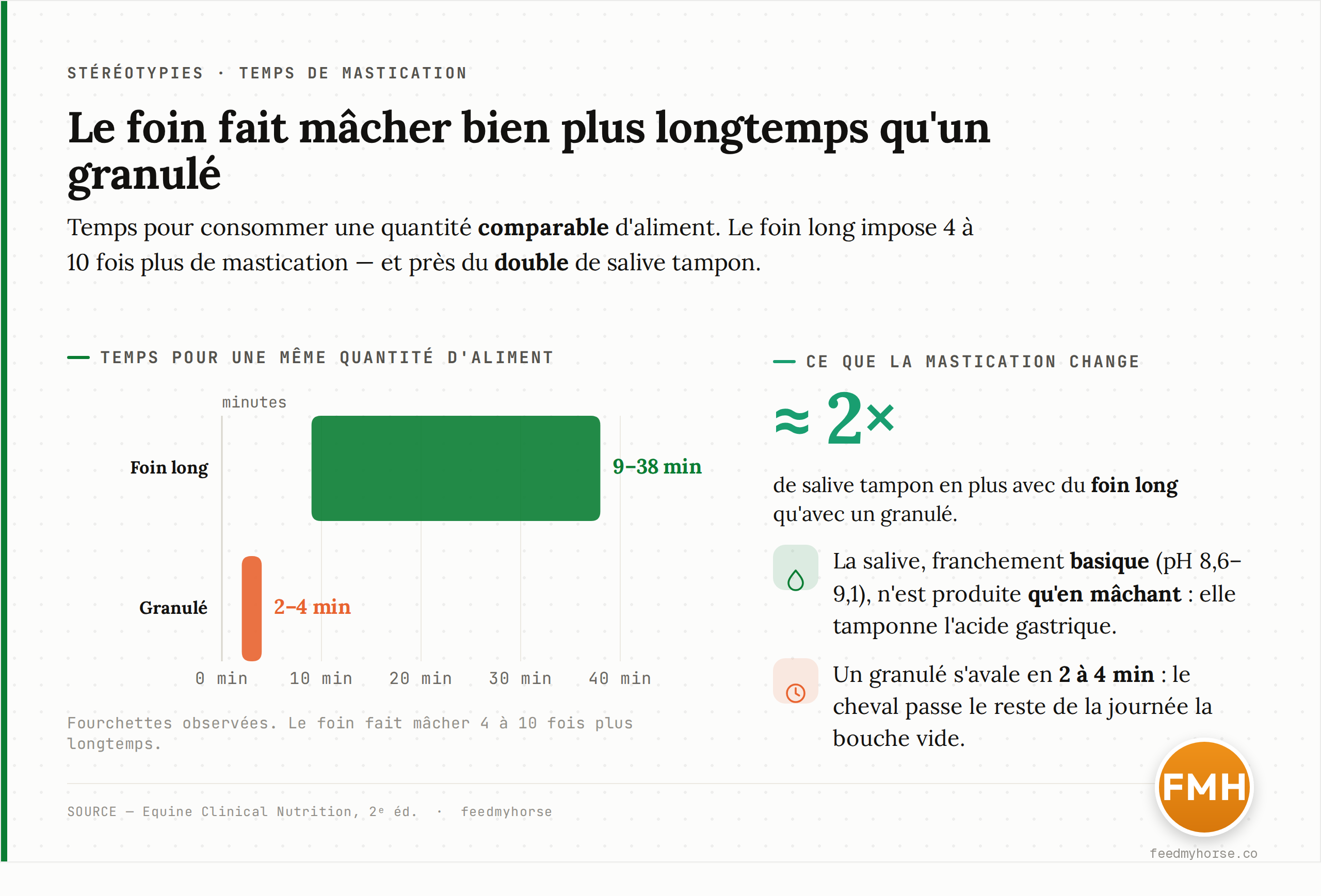 Temps pour consommer une quantité comparable d'aliment : 9 à 38 min pour du foin long contre 2 à 4 min pour un granulé. Le foin fait mâcher 4 à 10 fois plus longtemps et double presque la production de salive tampon. Source : Equine Clinical Nutrition, 2e éd.