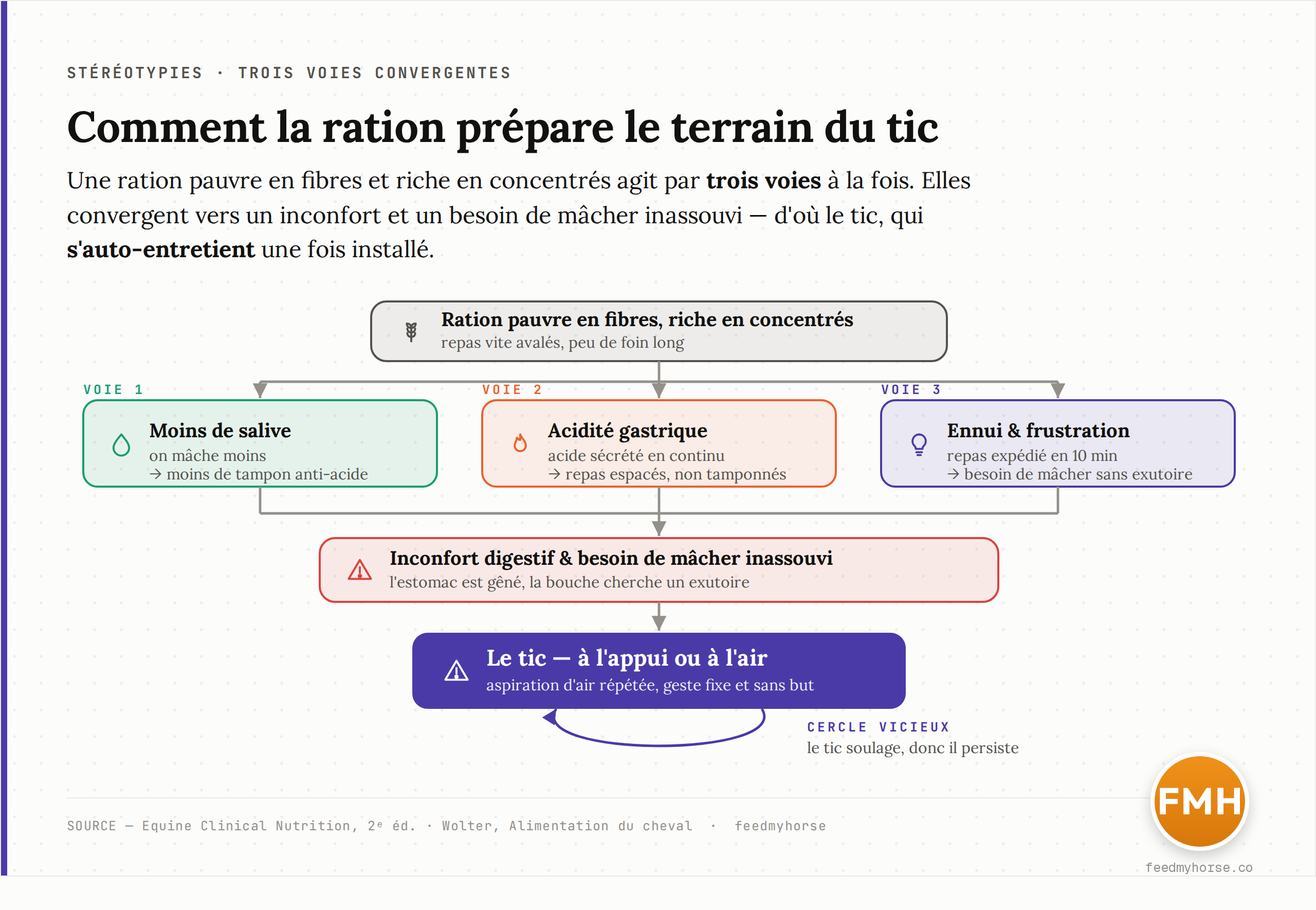 Schéma : une ration pauvre en fibres et riche en concentrés agit par trois voies convergentes (mastication et salive réduites, acidité gastrique, ennui) qui aboutissent à un inconfort digestif et à un besoin de mâcher non satisfait, d'où le tic ; une fois installé, celui-ci s'auto-entretient par le soulagement qu'il procure.