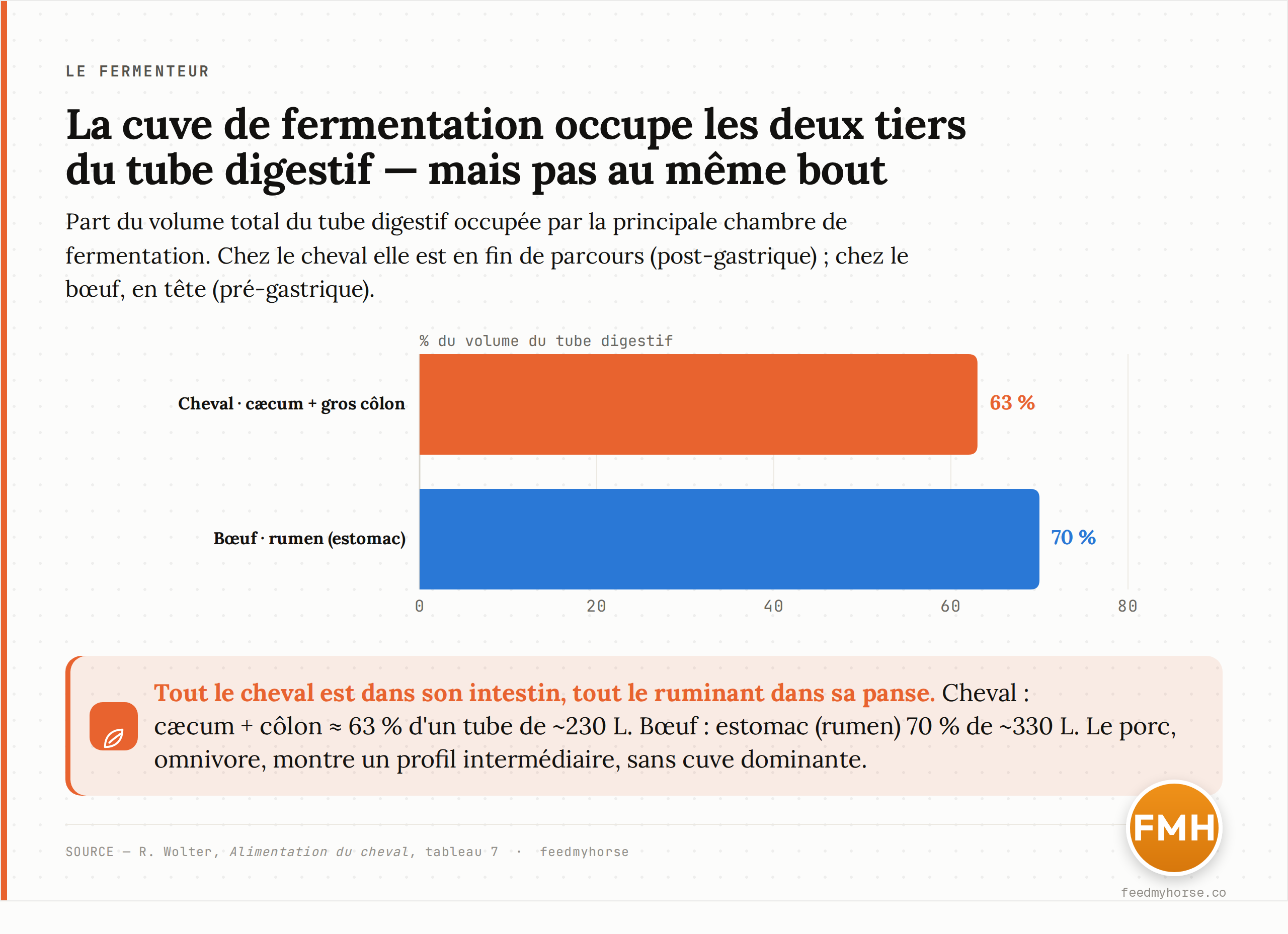 Graphique : repartition du volume du tube digestif par compartiment, en pourcentage du total, chez le cheval, le boeuf et le porc. Chez le cheval, caecum + colon representent 63 % du volume (la cuve a fermentation) ; chez le boeuf, l'estomac au sens large (rumen) en fait 70 %. Source : Wolter, tableau 7.