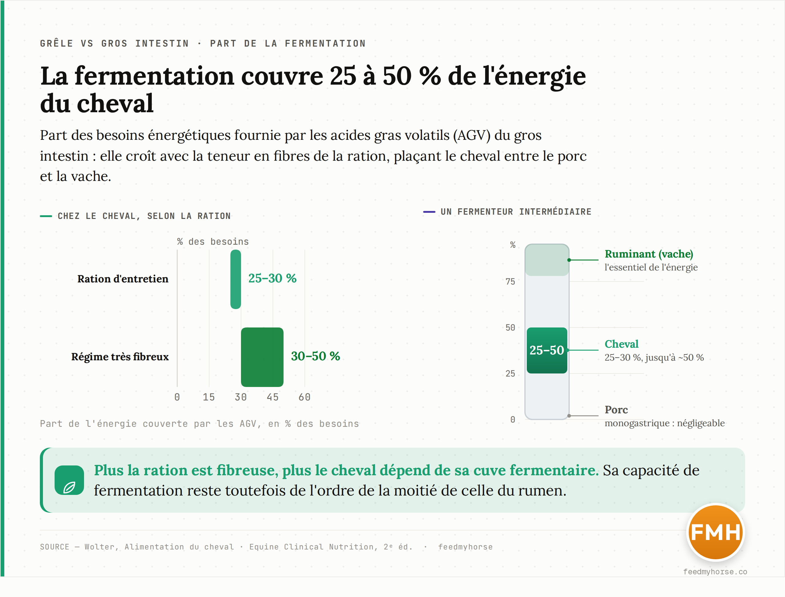 Part des besoins énergétiques couverte par les acides gras volatils (AGV) issus de la fermentation, selon l'espèce et le type de régime. Le cheval se situe entre le porc et la vache, et sa dépendance à la fermentation croît avec la teneur en fibres du régime. Données : Wolter, Alimentation du cheval.