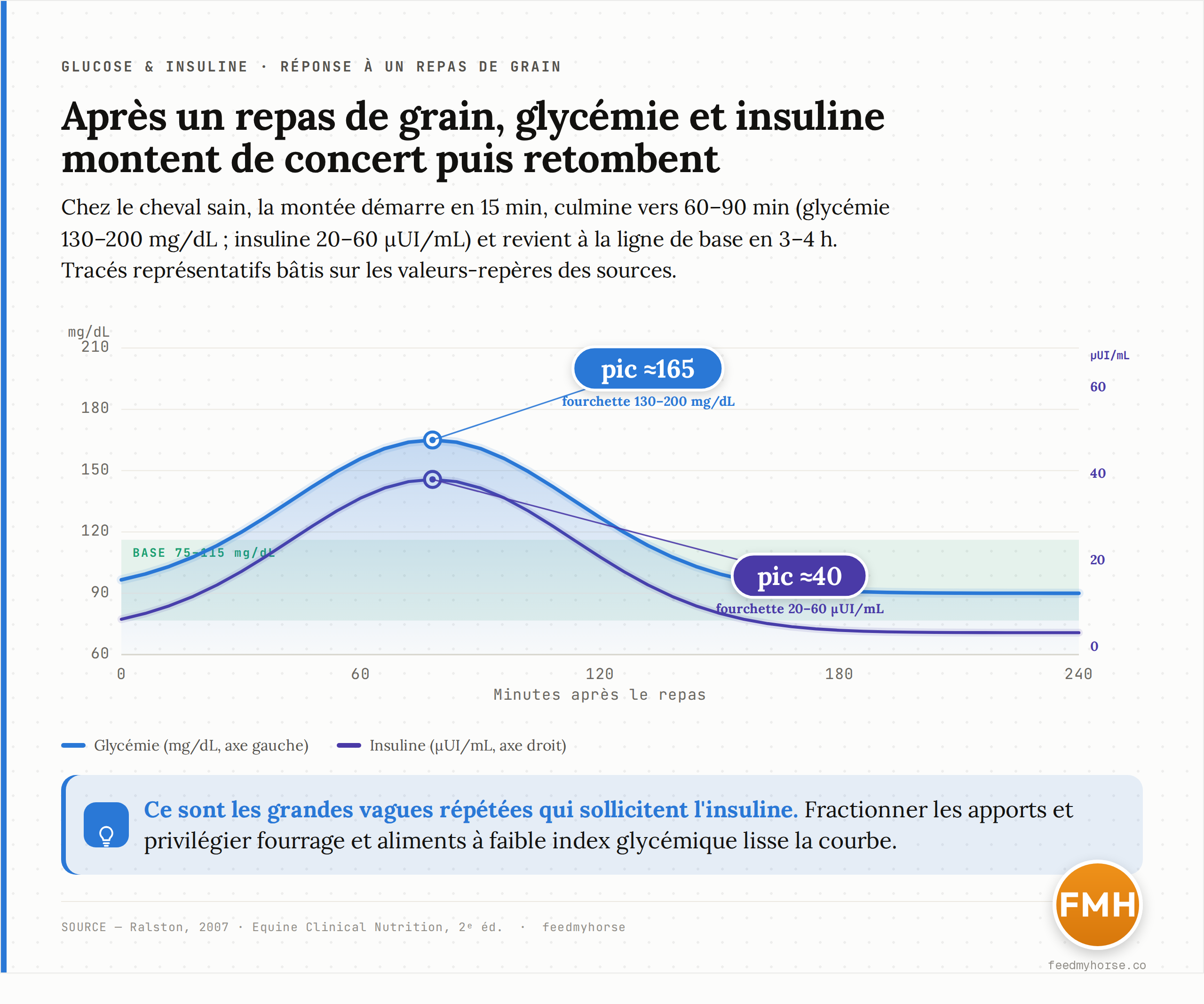 Reponse glycemique et insulinemique normale chez un cheval sain apres un repas de grain. La glycemie part d'une base d'environ 90 mg/dL (bande 75-115 mg/dL), atteint un pic situe dans la fourchette documentee de 130-200 mg/dL vers 60-90 min, puis revient a la ligne de base en 3-4 h ; l'insuline suit une courbe parallele avec un pic dans la fourchette 20-60 microUI/mL. Courbes representatives tracees sur les valeurs-reperes de Ralston (2007) et d'Equine Clinical Nutrition (2e ed.).