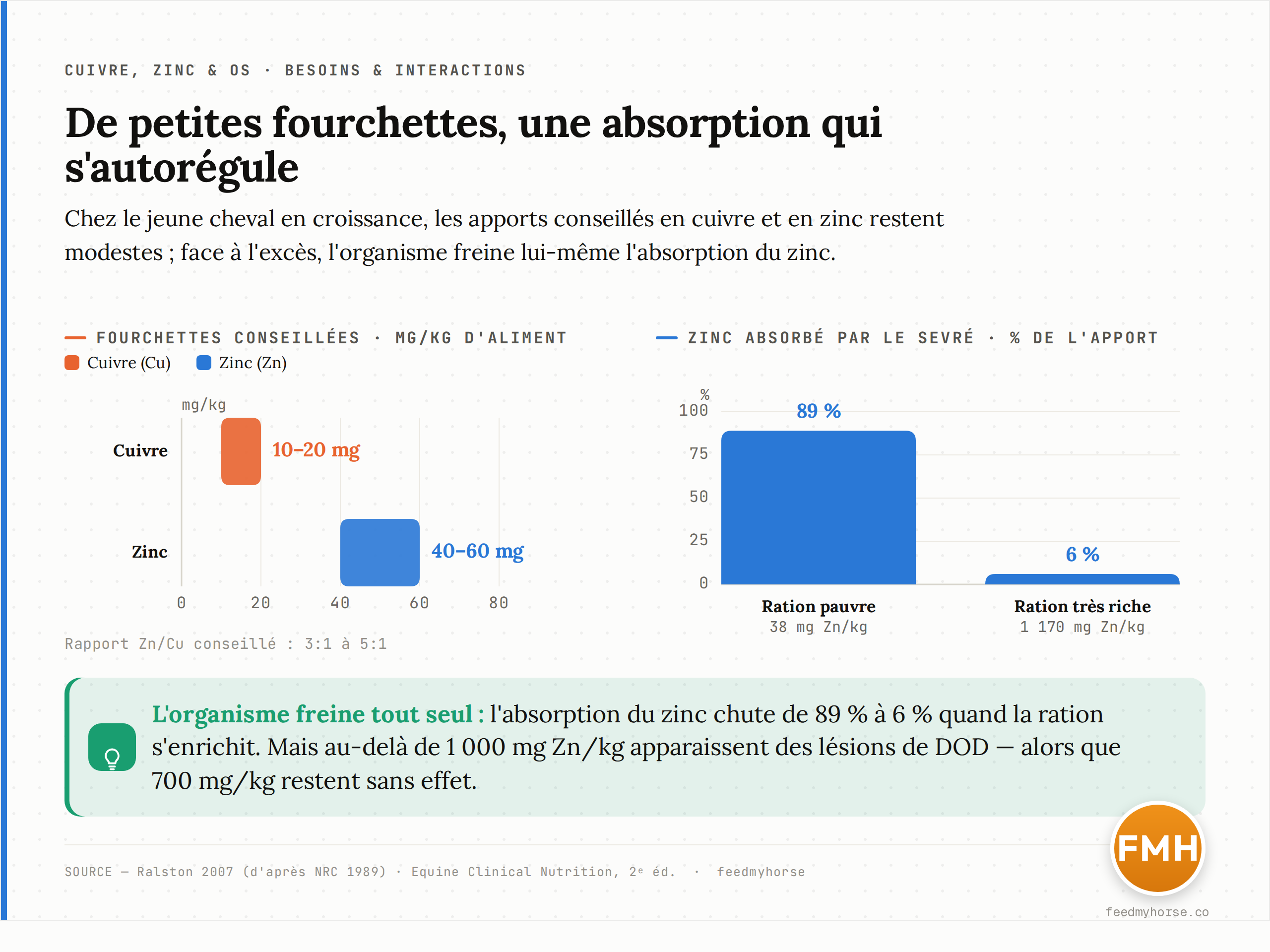 Graphique en deux volets. À gauche : fourchettes d'apport recommandées dans l'aliment du jeune cheval — cuivre 10 à 20 mg/kg, zinc 40 à 60 mg/kg — avec un rapport zinc/cuivre conseillé de 3:1 à 5:1. À droite : le sevré absorbe 89 % du zinc d'une ration pauvre (38 mg/kg) mais seulement 6 % d'une ration très riche (1170 mg/kg) ; au-delà de 1000 mg/kg, des lésions de DOD apparaissent, alors que 700 mg/kg restent sans effet. Sources : Ralston 2007 (d'après NRC 1989) ; Equine Clinical Nutrition, 2e éd.
