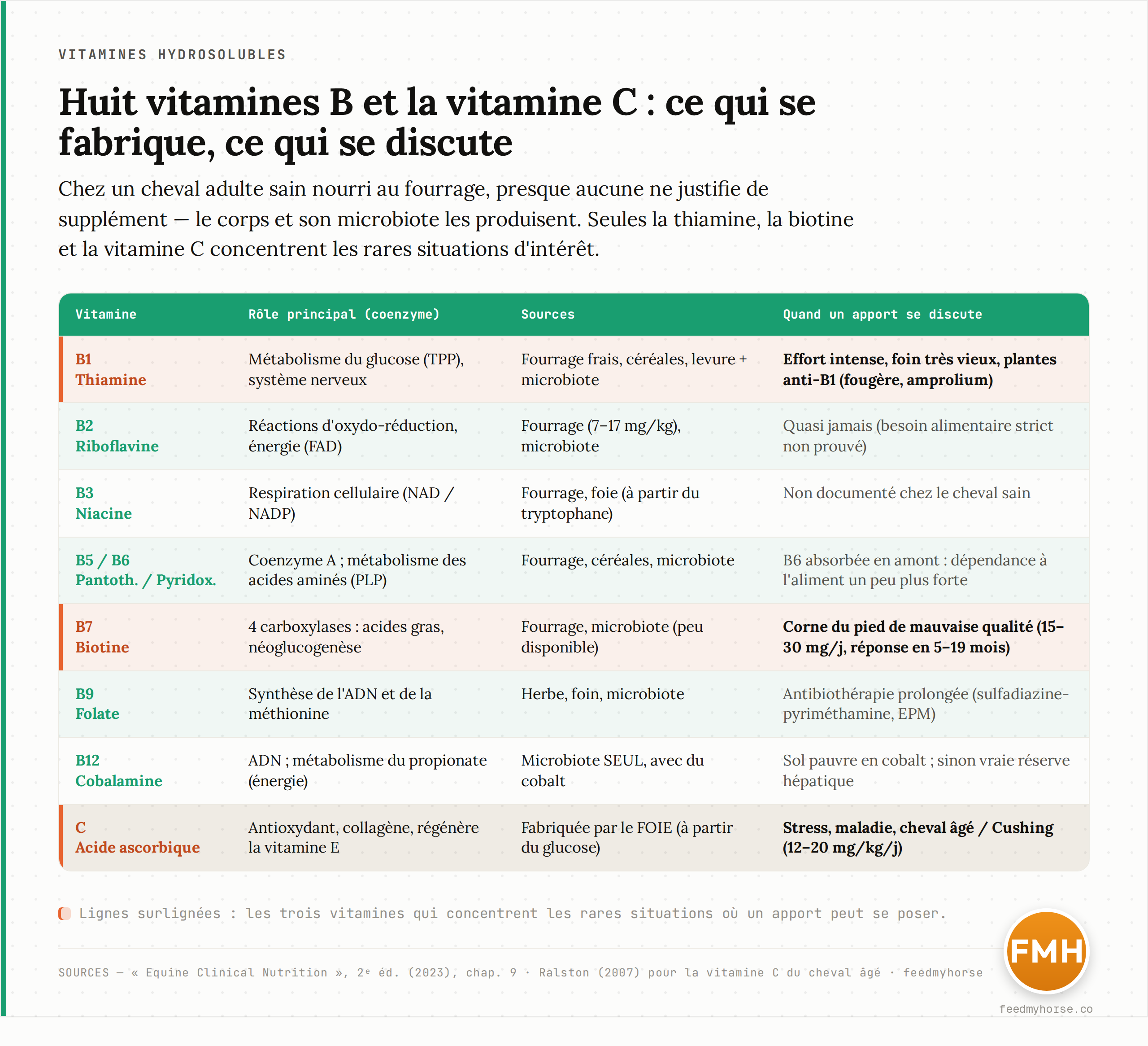 Tableau des huit vitamines B et de la vitamine C : rôle principal comme coenzyme, sources, et cas où un apport se discute. La thiamine, la biotine et la vitamine C concentrent les rares situations d'intérêt. Sources : Equine Clinical Nutrition, 2e éd. (2023), chap. 9 ; Ralston (2007).
