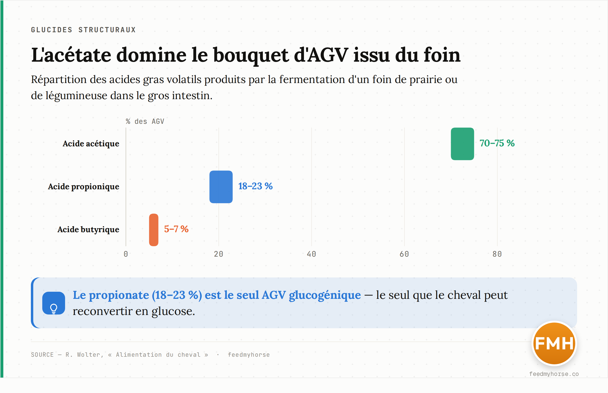 Graphique : composition des acides gras volatils issus de la fermentation d'un foin de prairie ou de légumineuse. Acide acétique 70-75 %, acide propionique 18-23 %, acide butyrique 5-7 % du total des AGV. Source : Wolter, Alimentation du cheval.