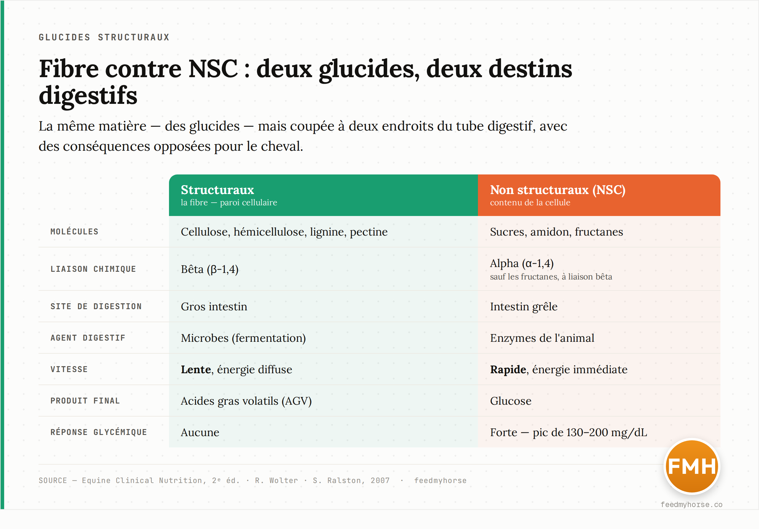 Tableau : comparaison des glucides structuraux (fibre) et non structuraux (NSC) sur sept critères — molécules, liaison chimique, site principal de digestion, agent digestif, vitesse, produit final et réponse glycémique. La fibre part vers le gros intestin, se fait fermenter lentement par les microbes en acides gras volatils, sans réponse glycémique ; les NSC sont coupés vite par les enzymes du grêle en glucose, avec une forte réponse glycémique. Chiffres : Equine Clinical Nutrition, Wolter, Ralston 2007.