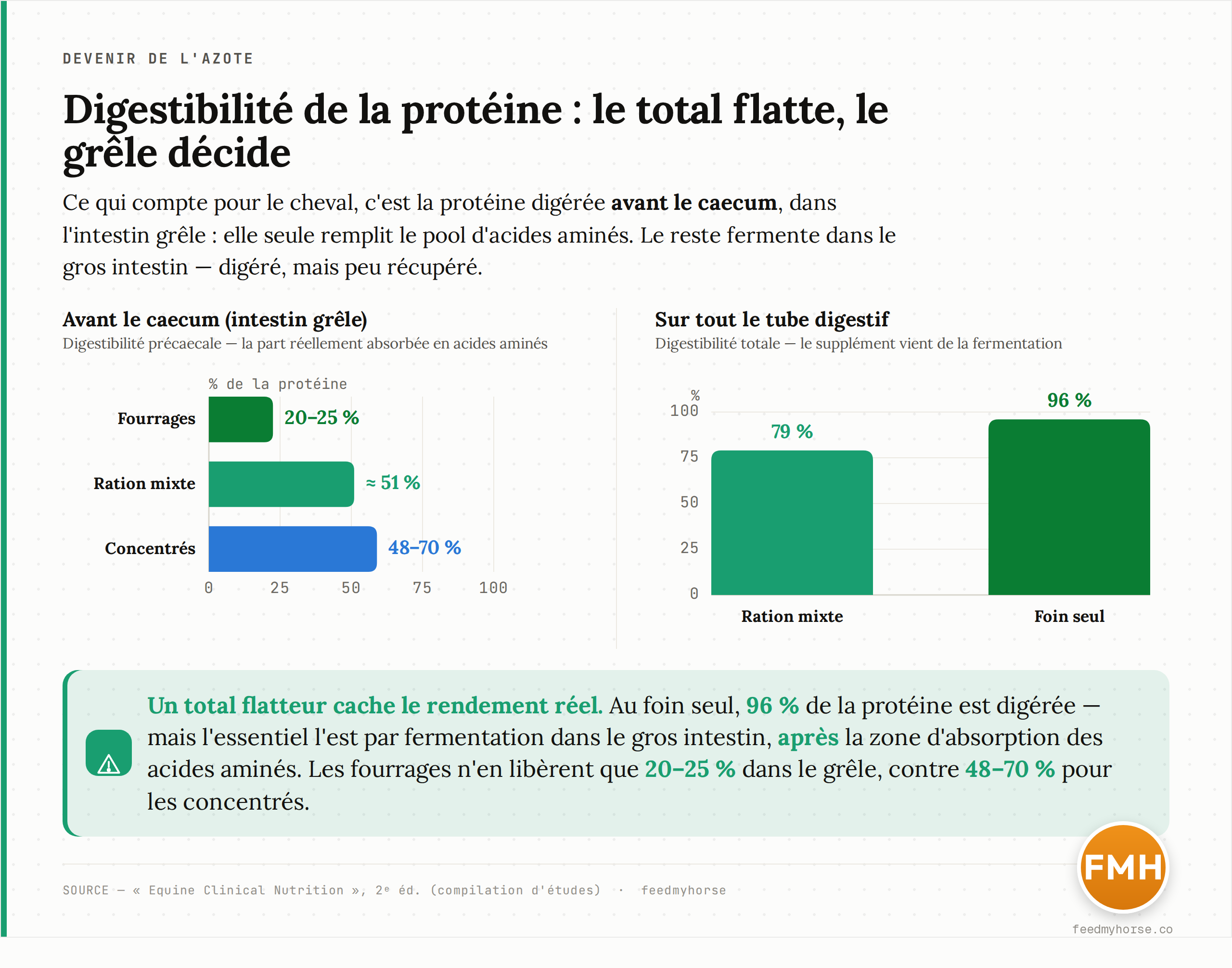 Digestibilité de la protéine selon la source et selon le segment : avant le caecum (intestin grêle), les fourrages ne libèrent que 20 à 25 % de leur protéine, les concentrés 48 à 70 %, une ration mixte environ 51 % ; sur l'ensemble du tube digestif, la digestibilité grimpe à 79 % pour une ration mixte et jusqu'à 96 % pour un régime de foin seul, mais cette fraction supplémentaire est digérée par fermentation dans le gros intestin. Source : Equine Clinical Nutrition, 2e éd. (compilation d'études).