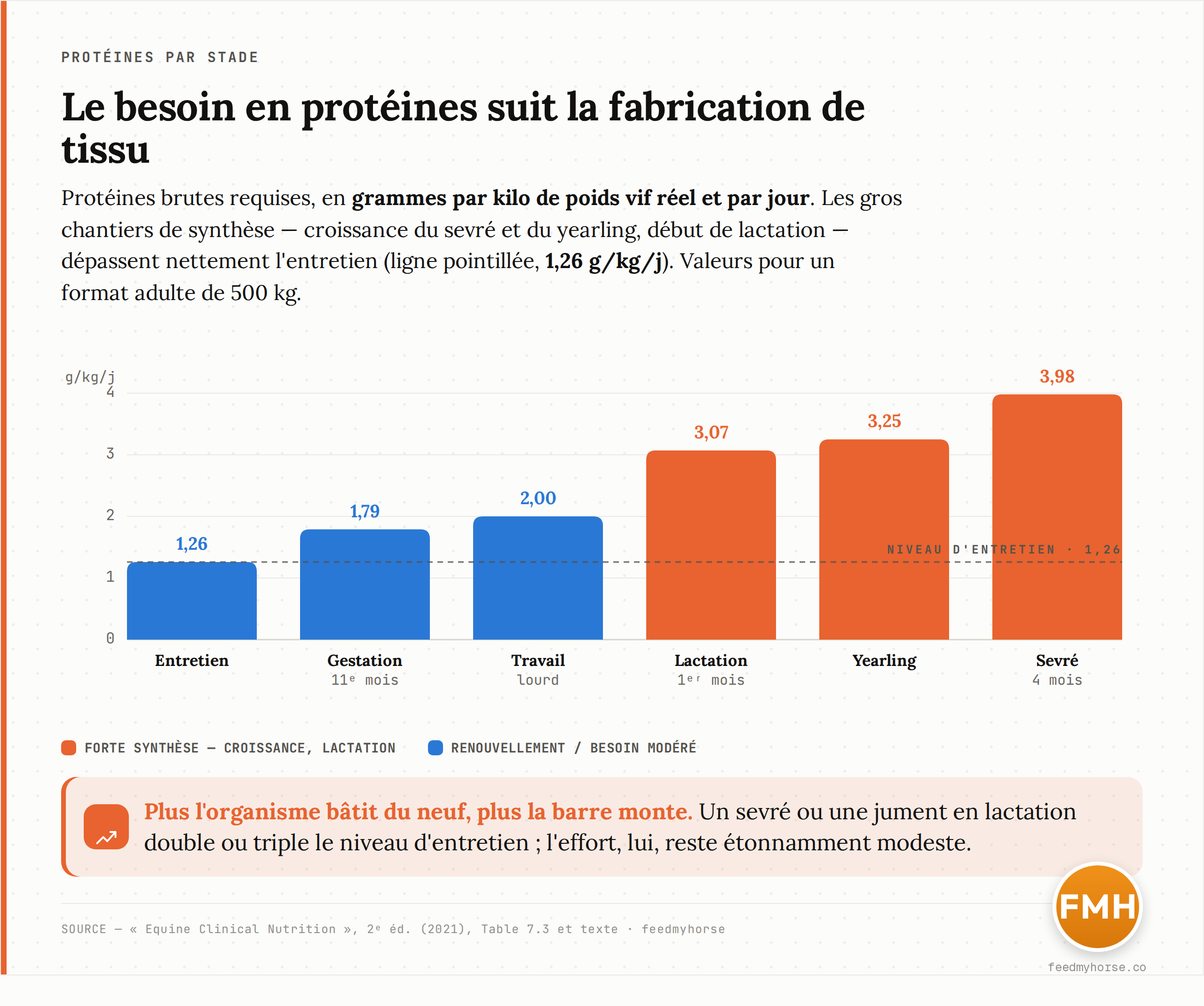 Besoins en protéines brutes selon le stade physiologique, exprimés en grammes par kilo de poids vif réel et par jour. Les stades de forte synthèse de tissu (croissance du sevré et du yearling) ou de lait (début de lactation) dépassent nettement le niveau d'entretien (ligne pointillée, 1,26 g/kg/j). Valeurs pour un format adulte de 500 kg. Source : Equine Clinical Nutrition, 2e éd. (2021), Table 7.3 et texte.