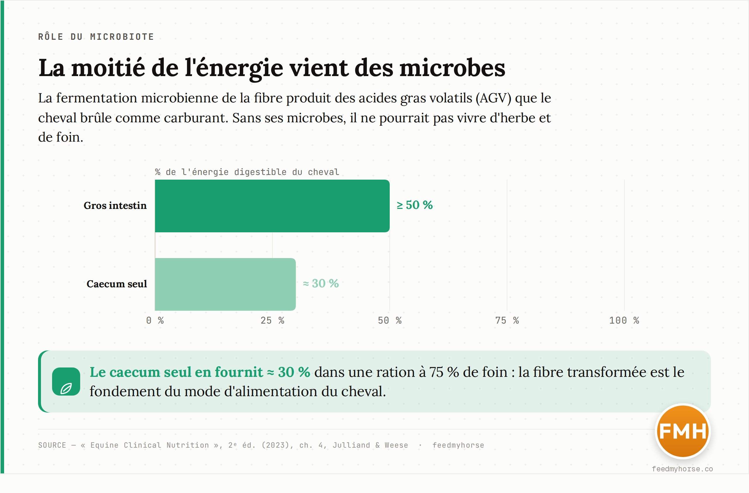 Part de l'énergie digestible du cheval fournie par les acides gras volatils issus de la fermentation microbienne : au moins 50 % pour l'ensemble du gros intestin, environ 30 % pour le caecum seul dans une ration à 75 % de foin. Source : Equine Clinical Nutrition, 2e éd. (2023), chap. 4, Julliand & Weese.