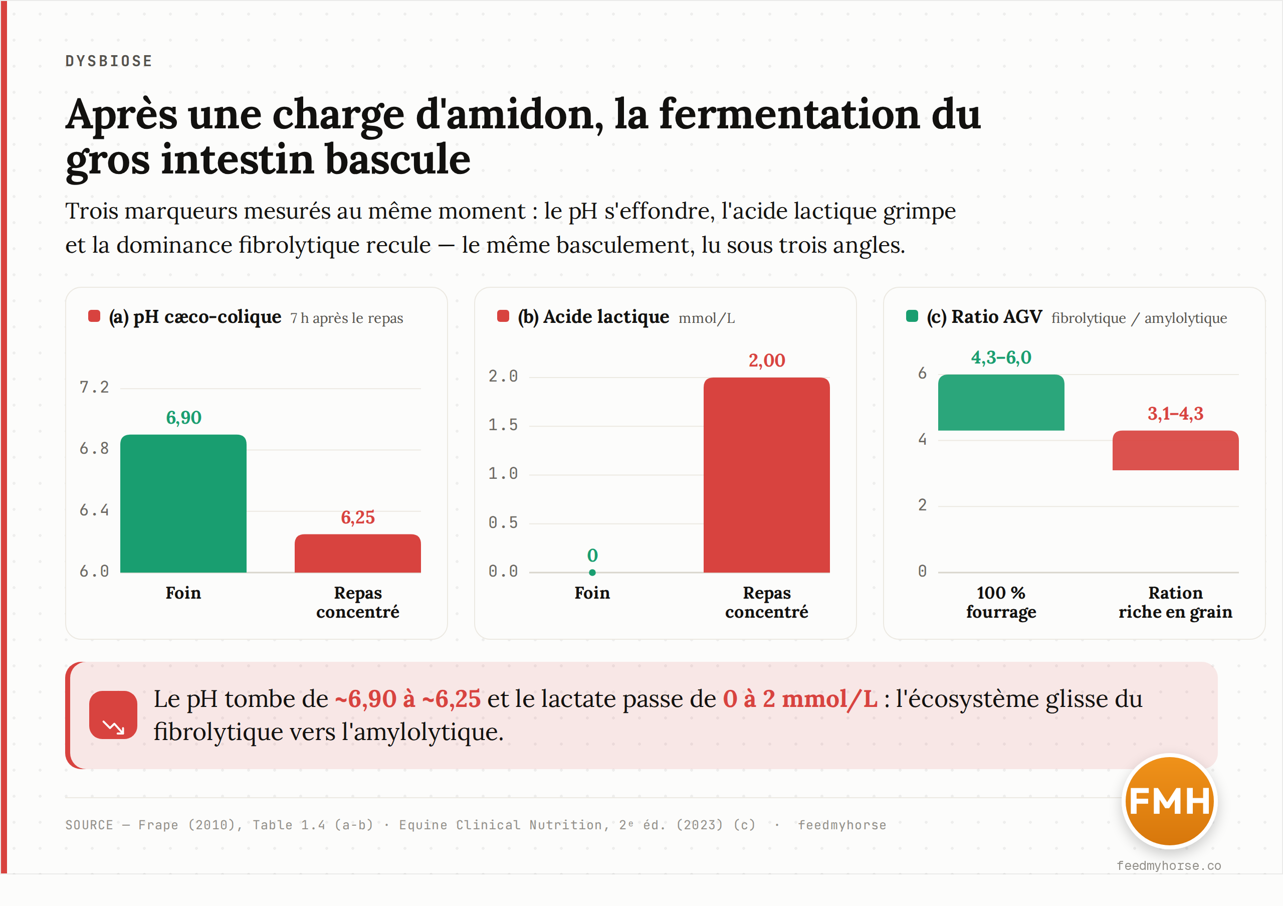 Graphique de données : bascule fermentaire du gros intestin après une charge d'amidon. (a) Le pH du contenu cæco-colique chute de 6,90 (foin) à 6,25 (concentré) sept heures après le repas ; (b) l'acide lactique passe de 0 à 2 mmol/L ; données Frape (2010), Table 1.4. (c) Le rapport (acétate+butyrate)/propionate, indicateur de dominance fibrolytique, tombe de 4,3–6,0 sur ration 100 % fourrage à 3,1–4,3 sur ration riche en grain ; Equine Clinical Nutrition (2e éd., 2023).