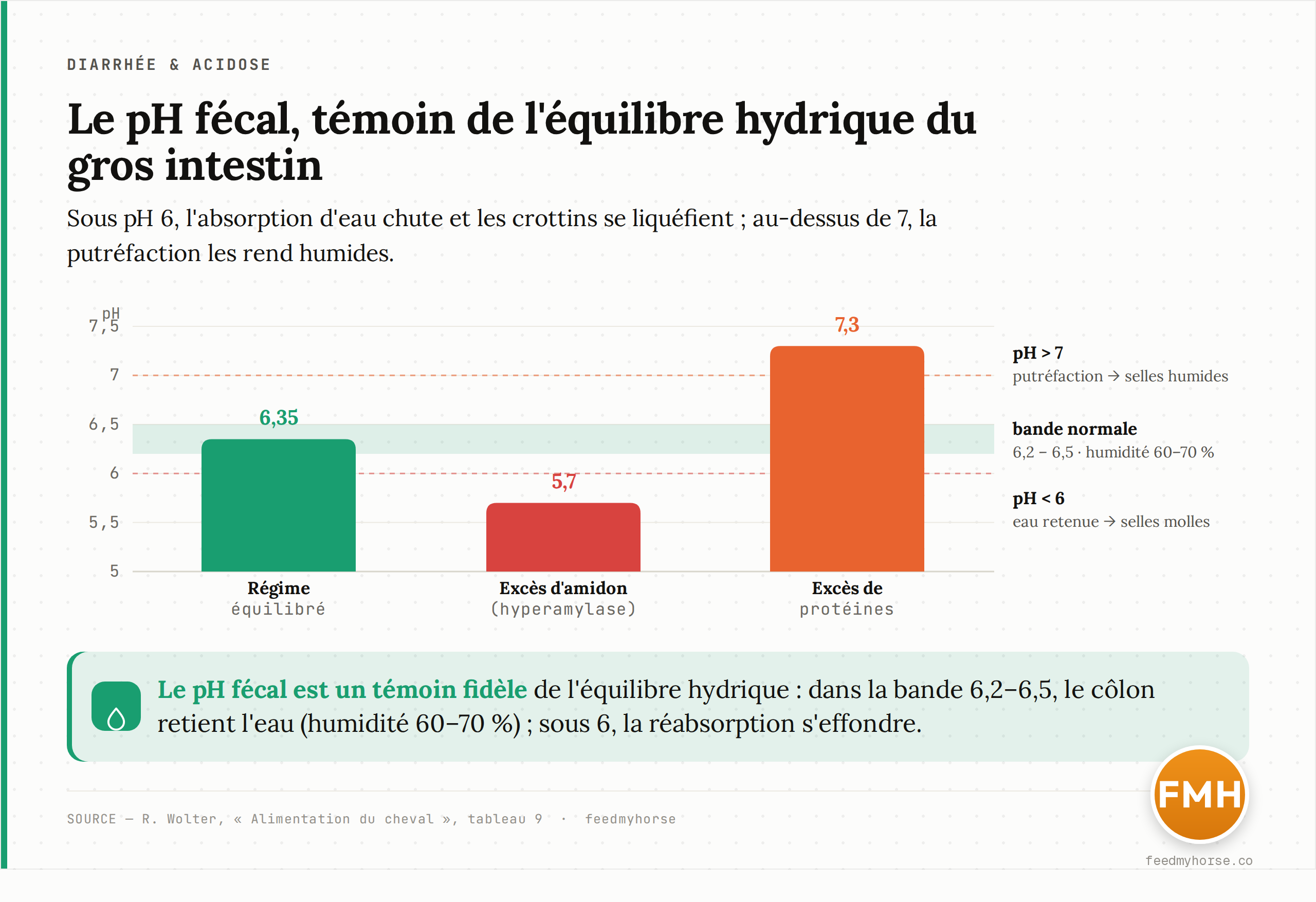 Le pH fécal comme témoin de l'équilibre hydrique du gros intestin : sur une ration équilibrée le pH reste dans la bande 6,2–6,5 (humidité fécale 60–70 %) ; sous 6, avec un excès d'amidon, l'absorption d'eau chute et les crottins deviennent liquides ; au-dessus de 7, un excès de protéines signe une putréfaction. Données : Wolter, tableau 9.