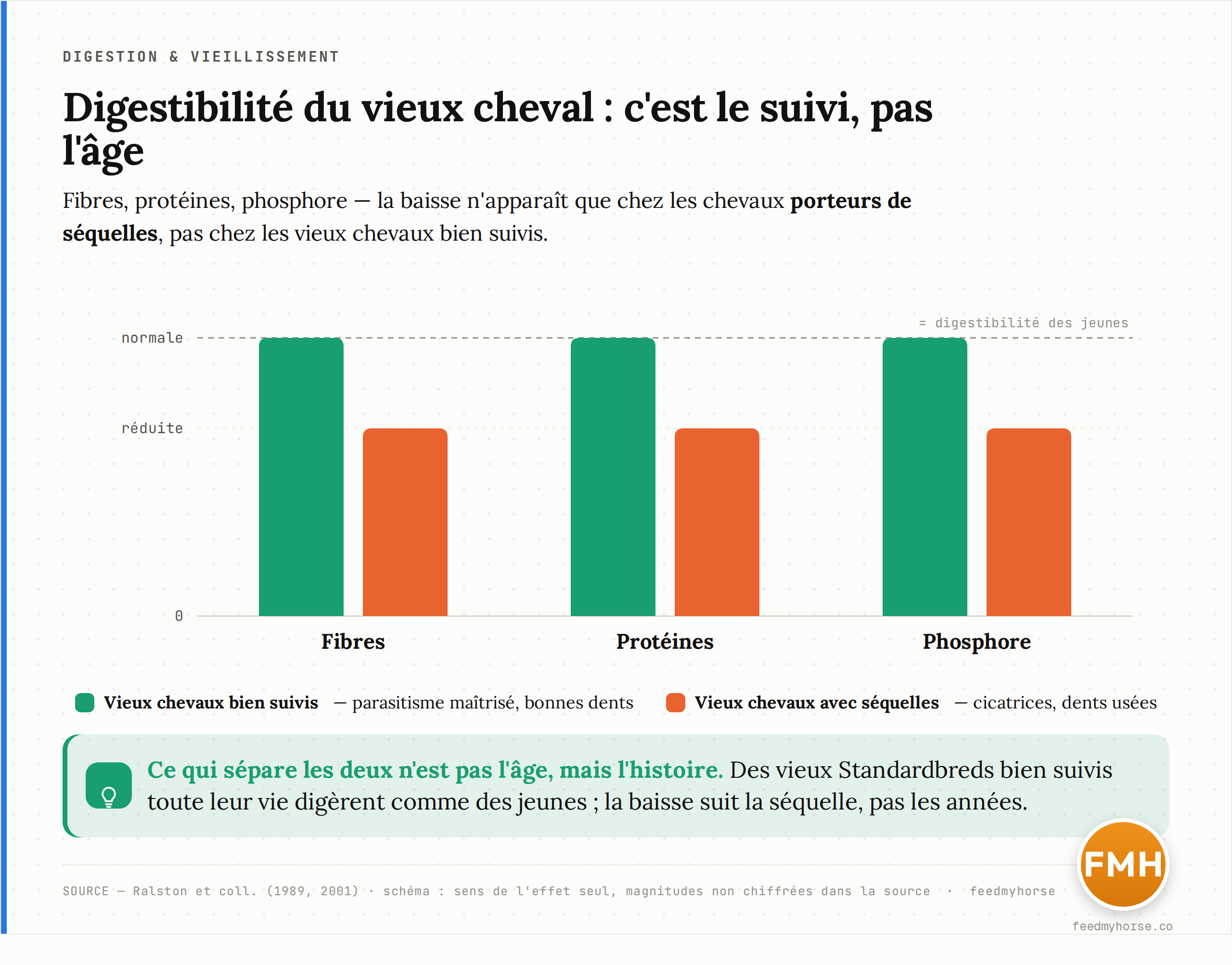 Digestibilité des fibres, protéines et phosphore chez le vieux cheval selon son histoire : les chevaux âgés bien suivis (bon contrôle parasitaire, bonnes dents) digèrent comme des jeunes, tandis que ceux porteurs de séquelles (cicatrices intestinales, dents usées) montrent une baisse. Schéma d'après Ralston : seul le sens de l'effet est rapporté dans la source, les magnitudes exactes ne sont pas chiffrées.