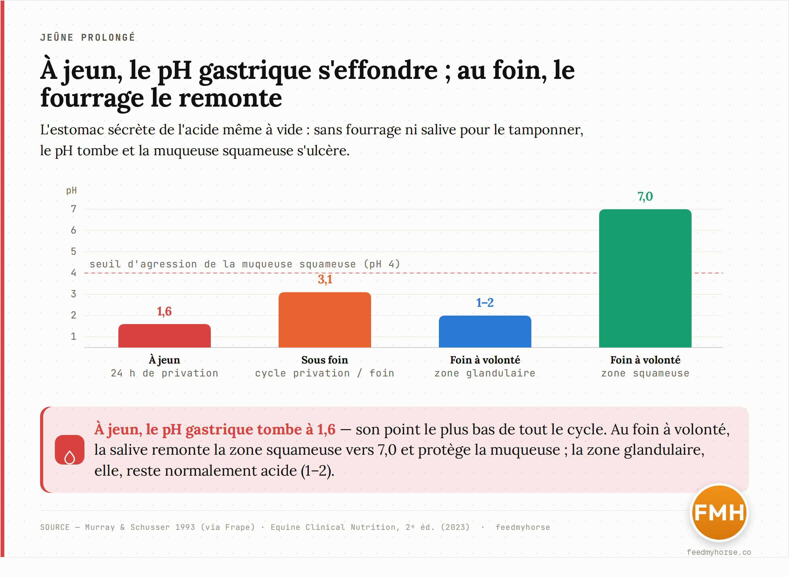 Graphique : pH gastrique selon l'état alimentaire. À jeun, le pH intragastrique tombe à 1,6 contre 3,1 chez le cheval nourri au foin (Murray & Schusser 1993, via Frape). Au foin à volonté, la zone squameuse remonte vers 7,0 tandis que la zone glandulaire reste à 1-2 (Equine Clinical Nutrition). La ligne pointillée marque le seuil d'agression de la muqueuse squameuse.