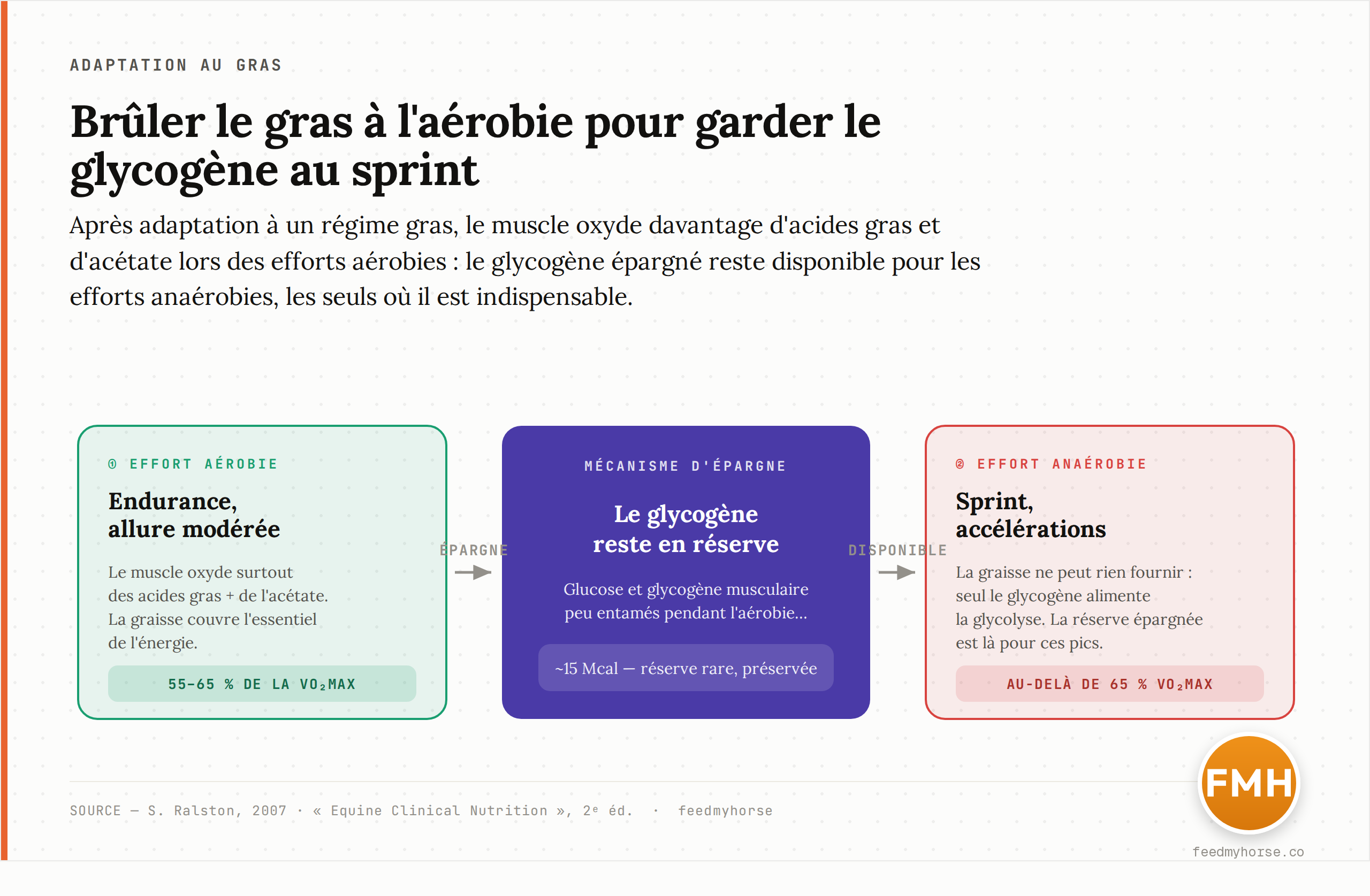 Après adaptation à un régime gras, le muscle oxyde davantage d'acides gras et d'acétate lors des efforts aérobies (à gauche), ce qui laisse le glycogène et le glucose en réserve ; cette réserve reste disponible pour les efforts intenses anaérobies (à droite), les seuls où le glycogène est indispensable. Schéma explicatif du mécanisme d'épargne.