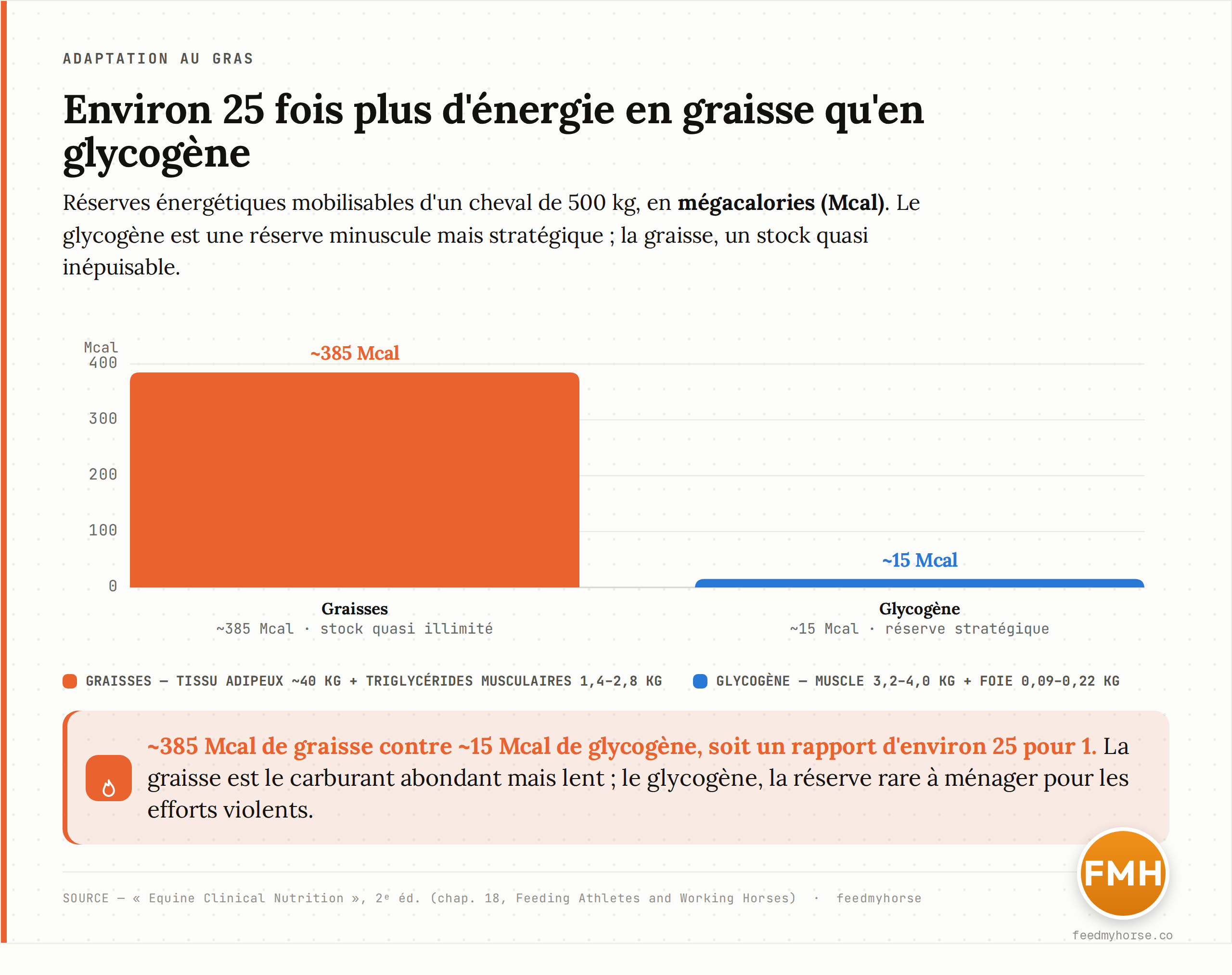 Réserves énergétiques mobilisables d'un cheval de 500 kg : environ 385 Mcal sous forme de graisses (tissu adipeux et triglycérides musculaires) contre seulement 15 Mcal sous forme de glycogène musculaire et hépatique, soit un rapport d'environ 25 pour 1. Source : Equine Clinical Nutrition, 2e éd.