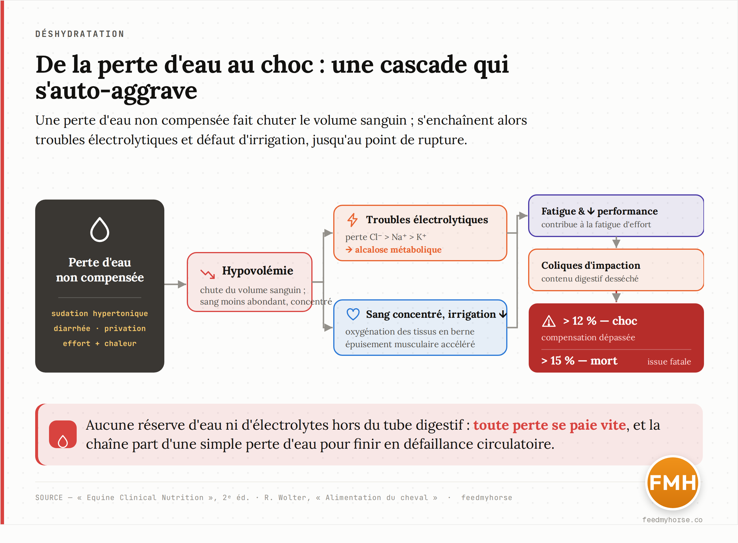 Schéma de la cascade de la déshydratation : une perte d'eau corporelle non compensée (sudation hypertonique, diarrhée, privation, effort + chaleur) réduit le volume sanguin (hypovolémie), ce qui entraîne d'un côté des troubles électrolytiques (perte de chlore > sodium > potassium menant à une alcalose métabolique) et de l'autre une concentration du sang avec baisse de l'irrigation des tissus ; en découlent fatigue et baisse de performance, dessèchement du contenu digestif (coliques d'impaction), puis, au-delà d'environ 12 %, le choc circulatoire, et la mort au-delà de 15 %. D'après Equine Clinical Nutrition (2e éd.) et Wolter.