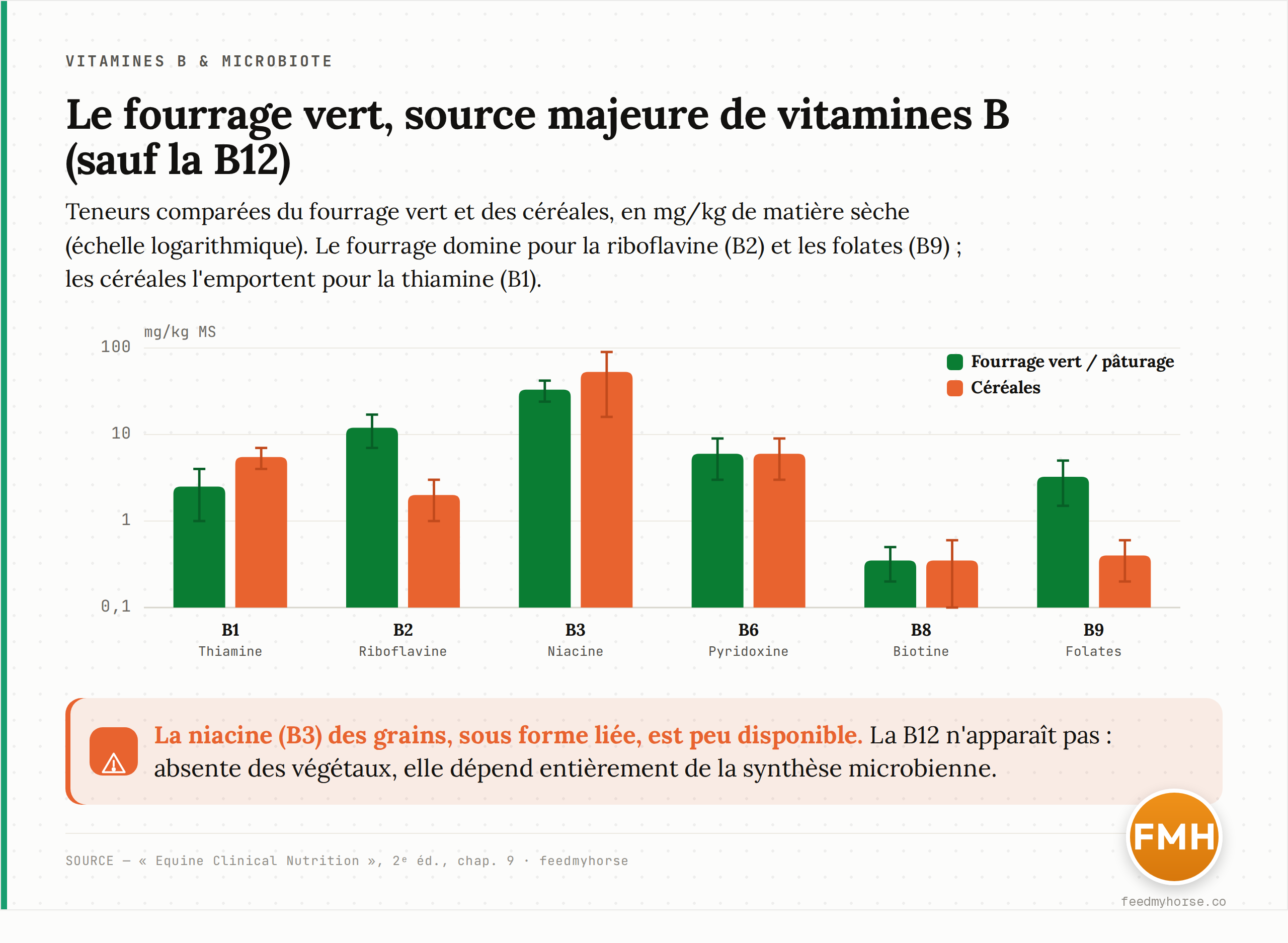 Teneur en vitamines B du fourrage vert comparée à celle des céréales (mg/kg de matière sèche, échelle logarithmique). Le fourrage domine nettement pour la riboflavine (B2) et les folates (B9) ; les céréales l'emportent pour la thiamine (B1). La niacine des grains, sous forme liée, est peu disponible. La B12 n'apparaît pas : absente des végétaux, elle dépend entièrement de la synthèse microbienne. Barres = milieu de fourchette, segments = fourchette rapportée. Source : Equine Clinical Nutrition, chap. 9.