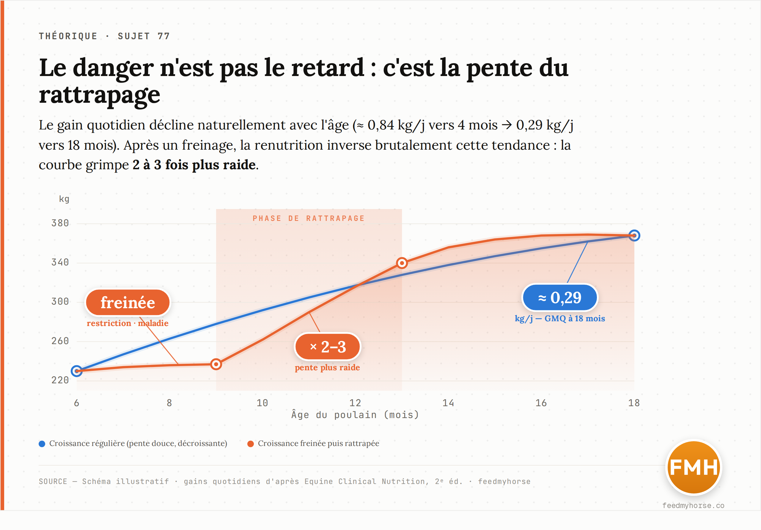 Schéma illustratif comparant deux trajectoires de poids vif entre 6 et 18 mois : une croissance régulière (courbe bleue) et une croissance freinée puis rattrapée (courbe orange), dont la pente devient deux à trois fois plus raide pendant la phase de rattrapage. Gains quotidiens d'après Equine Clinical Nutrition 2e éd.