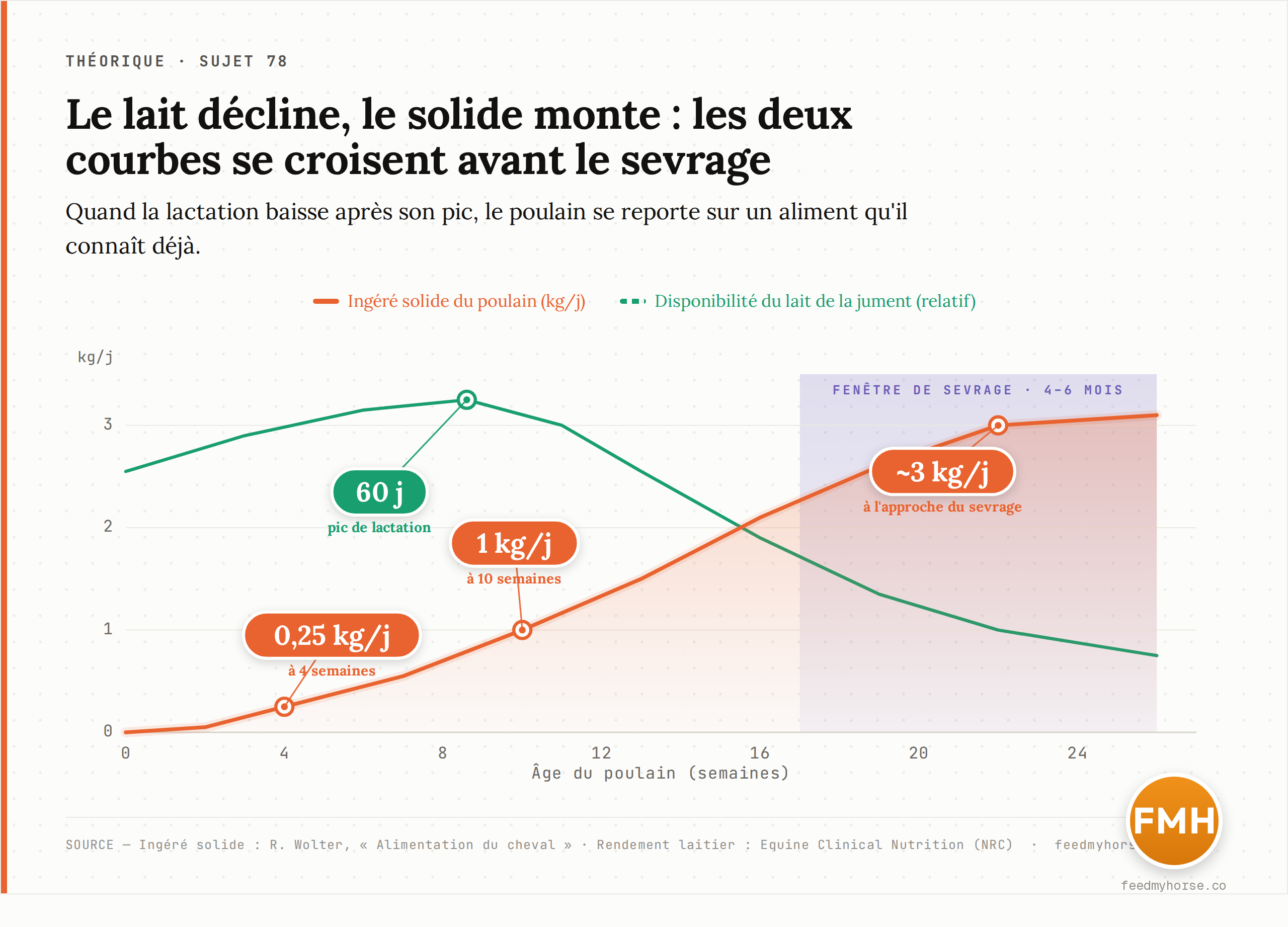Graphique : autour du sevrage, la disponibilité du lait de la jument décline (pic vers 60 jours, puis baisse) tandis que l'ingestion d'aliment solide par le poulain progresse (quasi nulle avant 2 semaines, ~0,25 kg/j à 4 semaines, 1 kg/j à 10 semaines, ~3 kg/j à l'approche du sevrage). Les deux courbes se croisent bien avant la fenêtre de sevrage de 4 à 6 mois. Sources : ingéré solide — Wolter ; rendement laitier — Equine Clinical Nutrition (NRC).