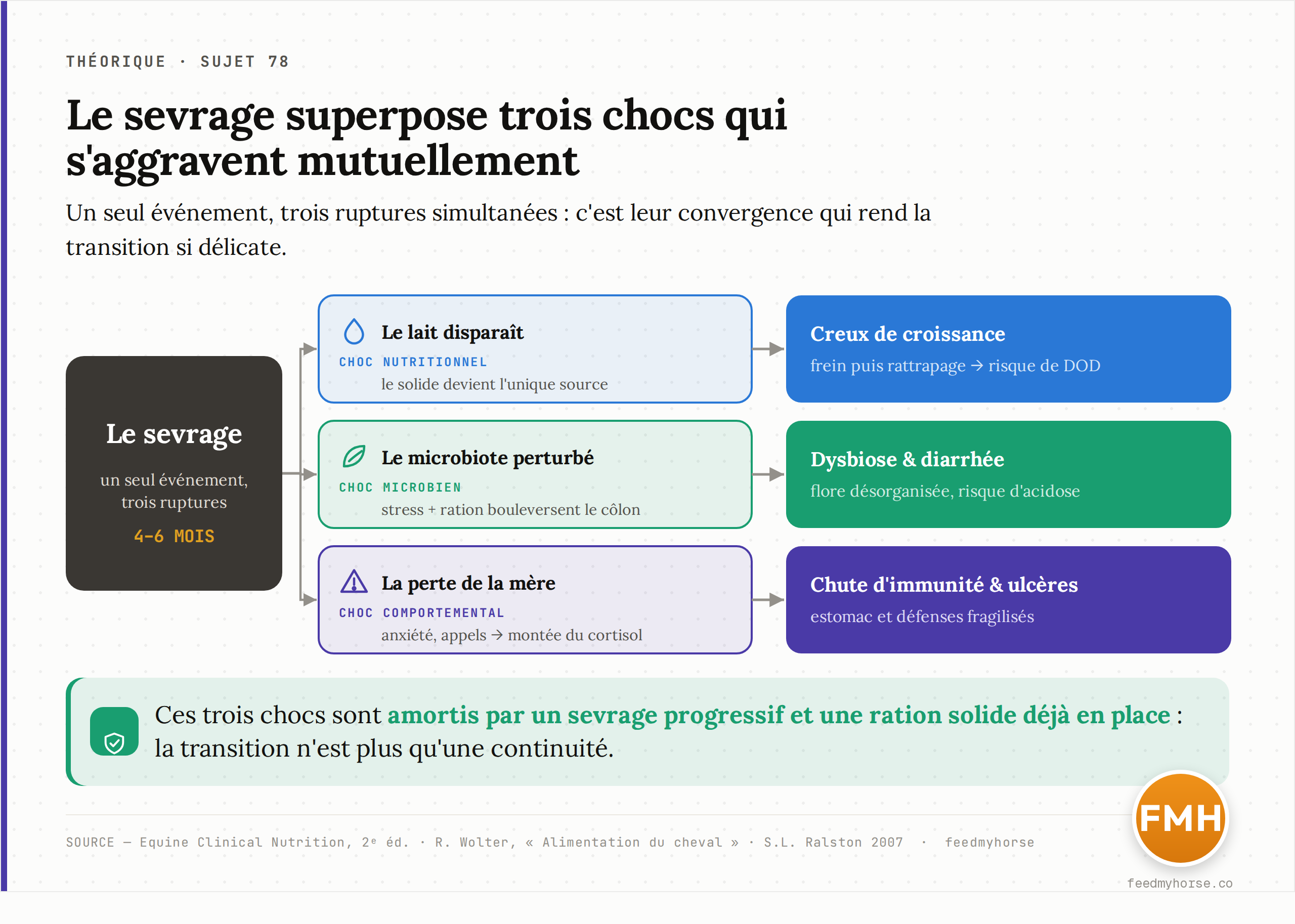 Schéma : le sevrage déclenche simultanément trois chocs — nutritionnel (le lait disparaît, le solide devient l'unique source), microbien (stress et changement de ration perturbent le microbiote du côlon) et comportemental (perte de la mère, cortisol). Leurs conséquences respectives — creux de croissance et risque de DOD, dysbiose et diarrhée, chute d'immunité et ulcères — sont amorties par un sevrage progressif et une ration solide déjà en place.
