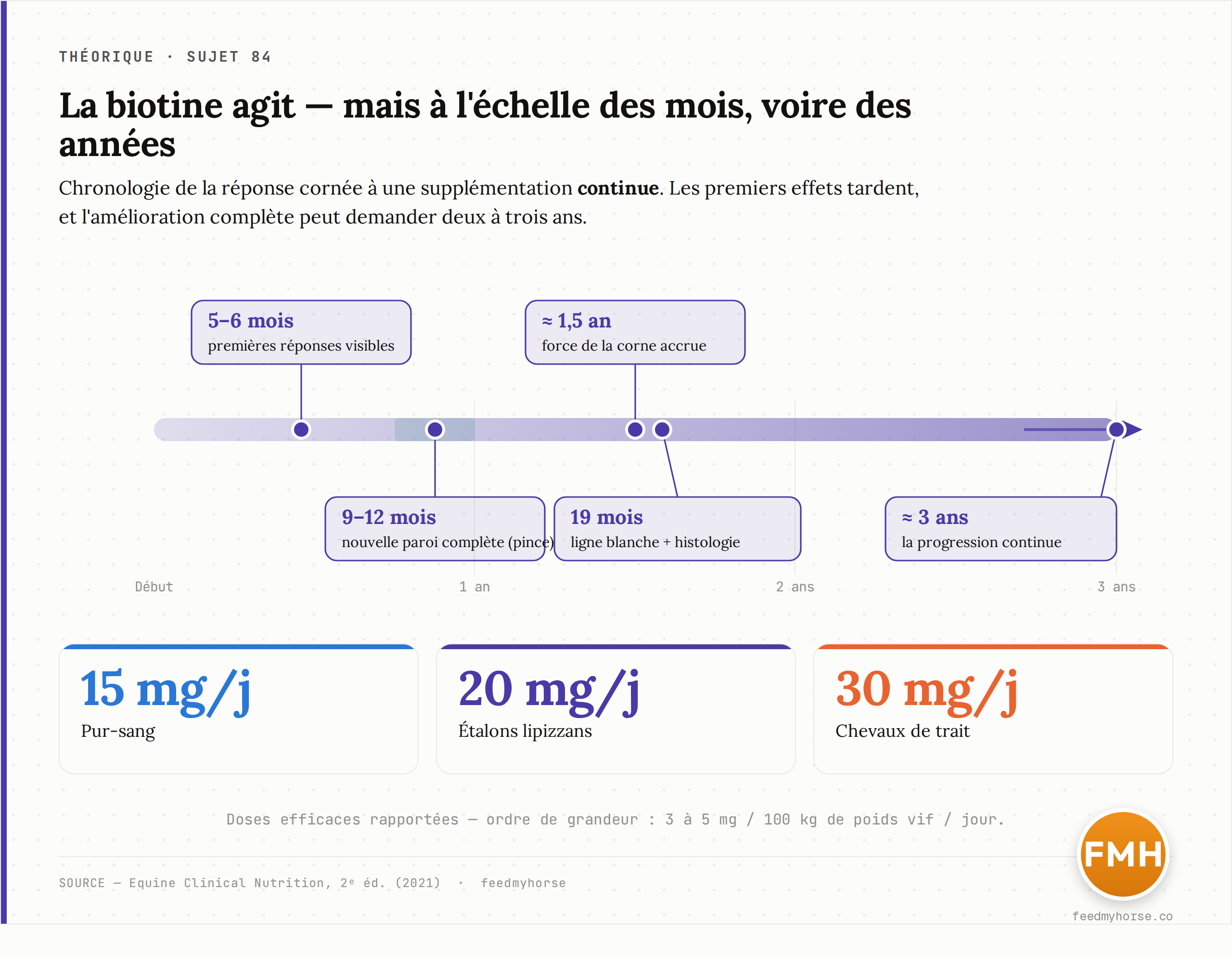 Graphique : chronologie de la reponse a la biotine. Premieres reponses vers 5-6 mois, nouvelle paroi complete a 9-12 mois, force accrue vers 1,5 an, ligne blanche et histologie ameliorees a 19 mois, progression jusqu'a ~3 ans. Doses efficaces : 15 mg/j (pur-sang), 20 mg/j (lipizzans), 30 mg/j (traits). Source : Equine Clinical Nutrition, 2e ed. (2021).