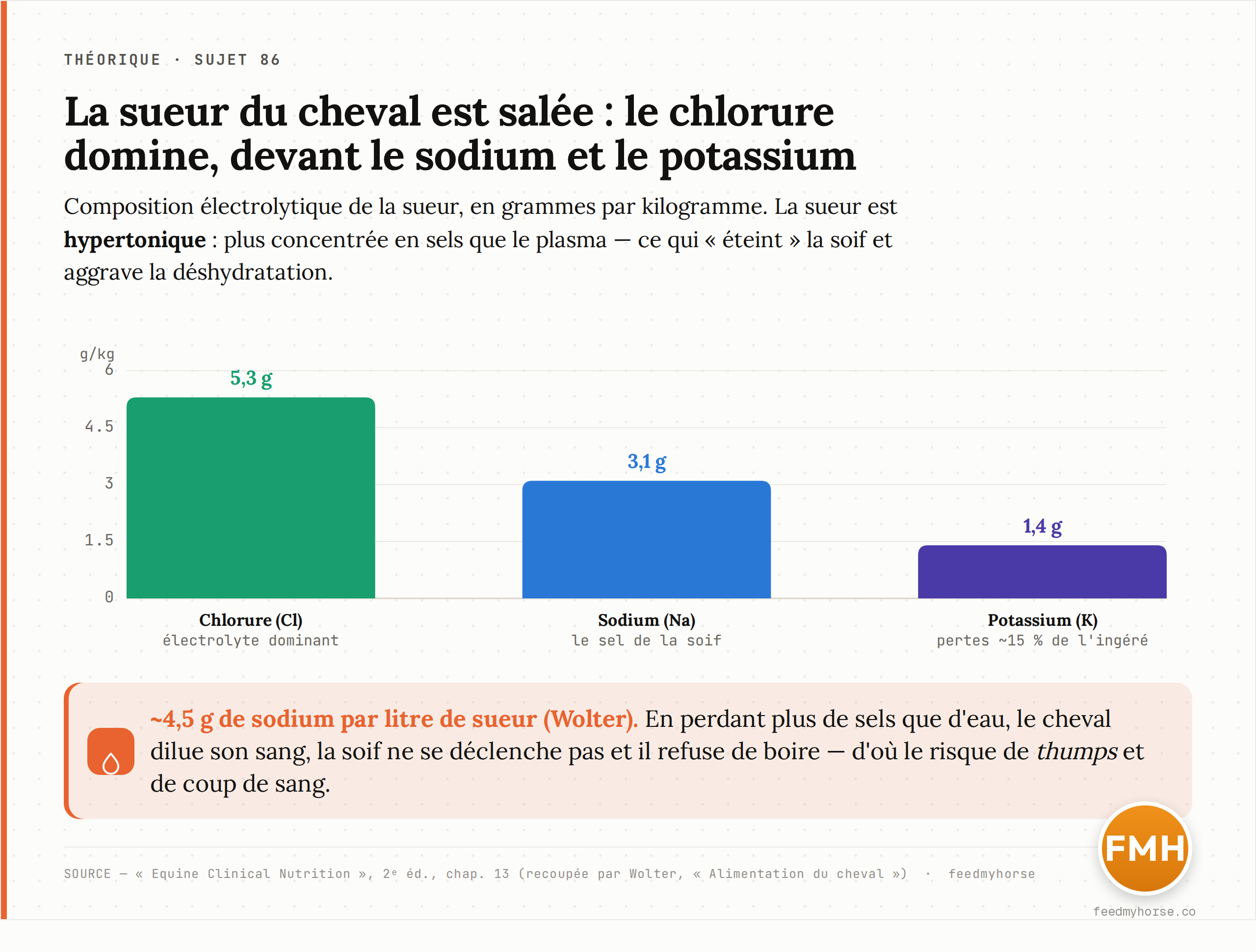 Composition électrolytique de la sueur du cheval : le chlorure domine (5,3 g/kg), devant le sodium (3,1 g/kg) et le potassium (1,4 g/kg). La sueur est hypertonique. Source : Equine Clinical Nutrition, 2e éd. (recoupée par Wolter, ~4,5 g de sodium par litre).