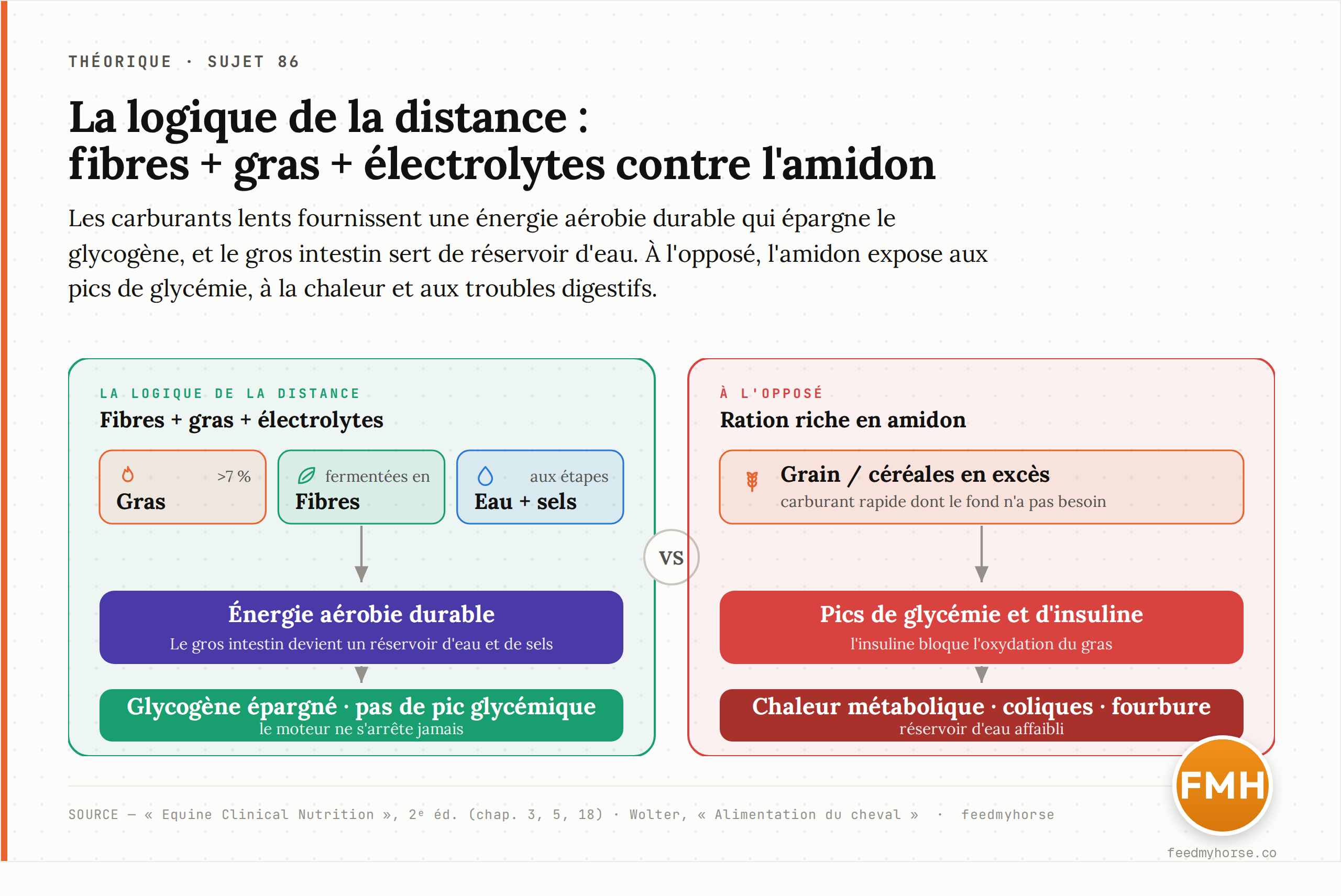 La logique de la distance : les carburants lents (gras et fibres) fournissent une énergie durable et aérobie qui épargne le glycogène, le gros intestin sert de réservoir d'eau et d'électrolytes, et un apport continu de fourrage, d'eau et de sels aux étapes maintient le système sans pic glycémique. À l'opposé, une ration riche en amidon expose aux pics de glycémie, à la chaleur et aux troubles digestifs.