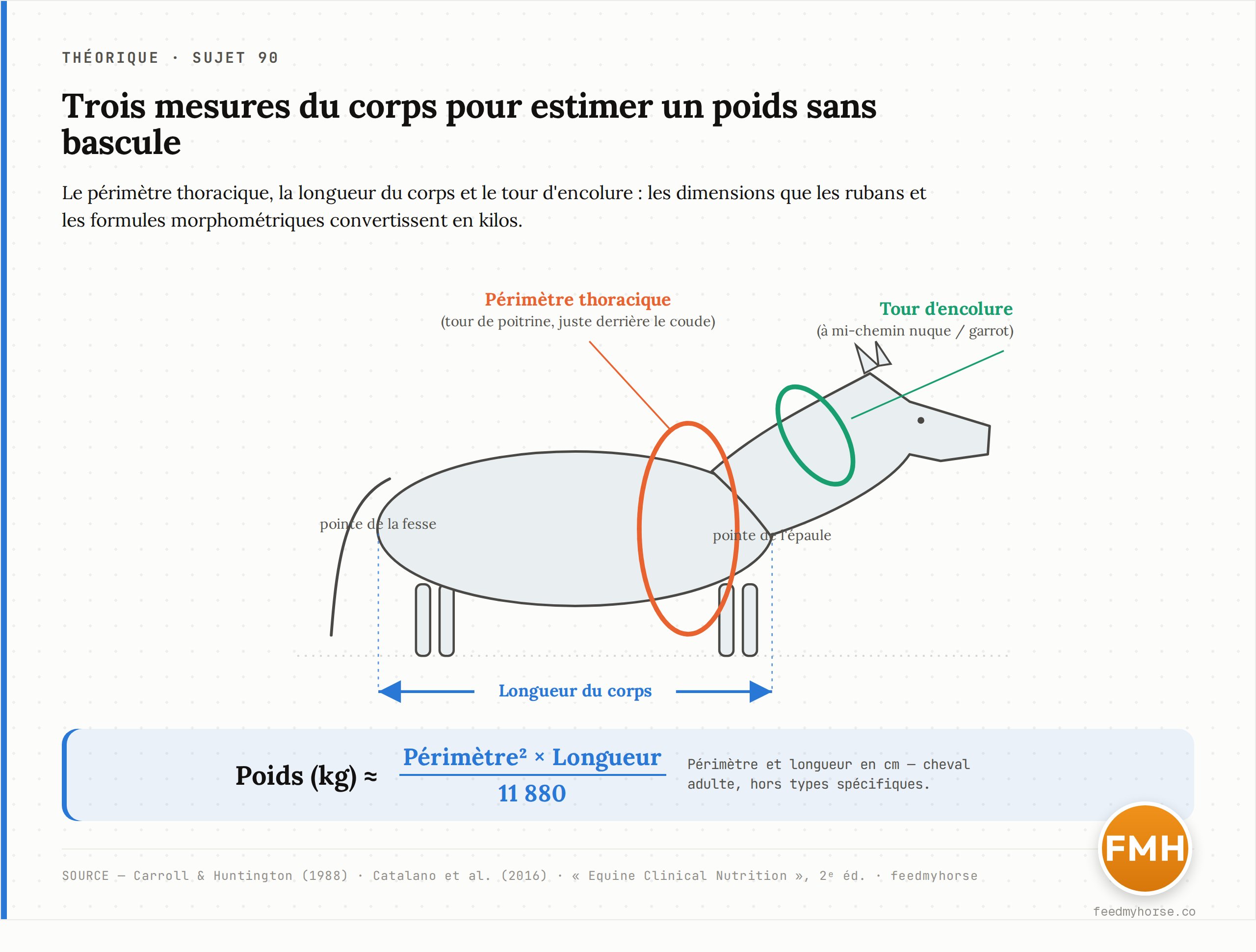 Schéma des trois mesures corporelles utilisées pour estimer le poids d'un cheval : le périmètre thoracique (boucle verticale juste derrière le coude), la longueur du corps (pointe de l'épaule à la pointe de la fesse) et le tour d'encolure (à mi-chemin entre la nuque et le garrot). La formule de base pour un cheval adulte relie le carré du périmètre et la longueur. Source : Carroll et Huntington 1988, Catalano et al. 2016, via Equine Clinical Nutrition 2e éd. et Evidence-based Equine Nutrition.