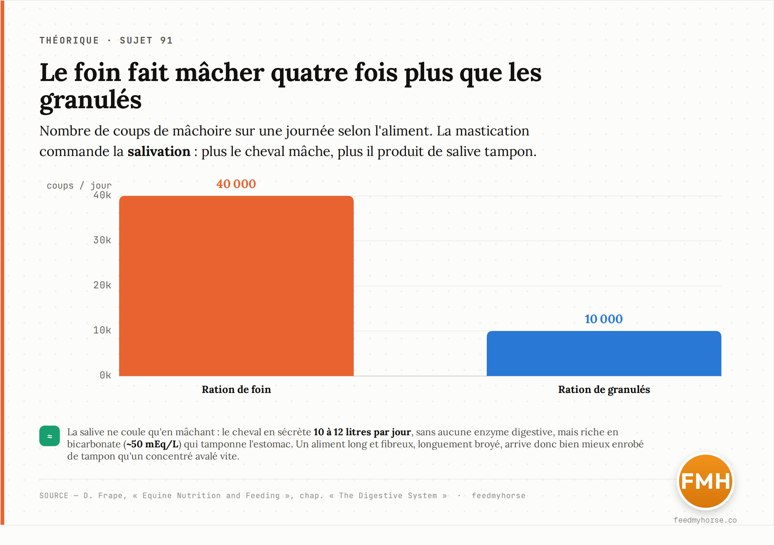 Nombre de coups de mâchoire sur une journée selon l'aliment : environ 40 000 avec une ration de foin contre seulement 10 000 avec des granulés, soit quatre fois plus. Comme la salive (10 à 12 L/jour, riche en bicarbonate ~50 mEq/L mais sans enzyme digestive) ne coule qu'en mâchant, le foin arrive dans l'estomac bien mieux enrobé de tampon. Source : D. Frape, « Equine Nutrition and Feeding ».