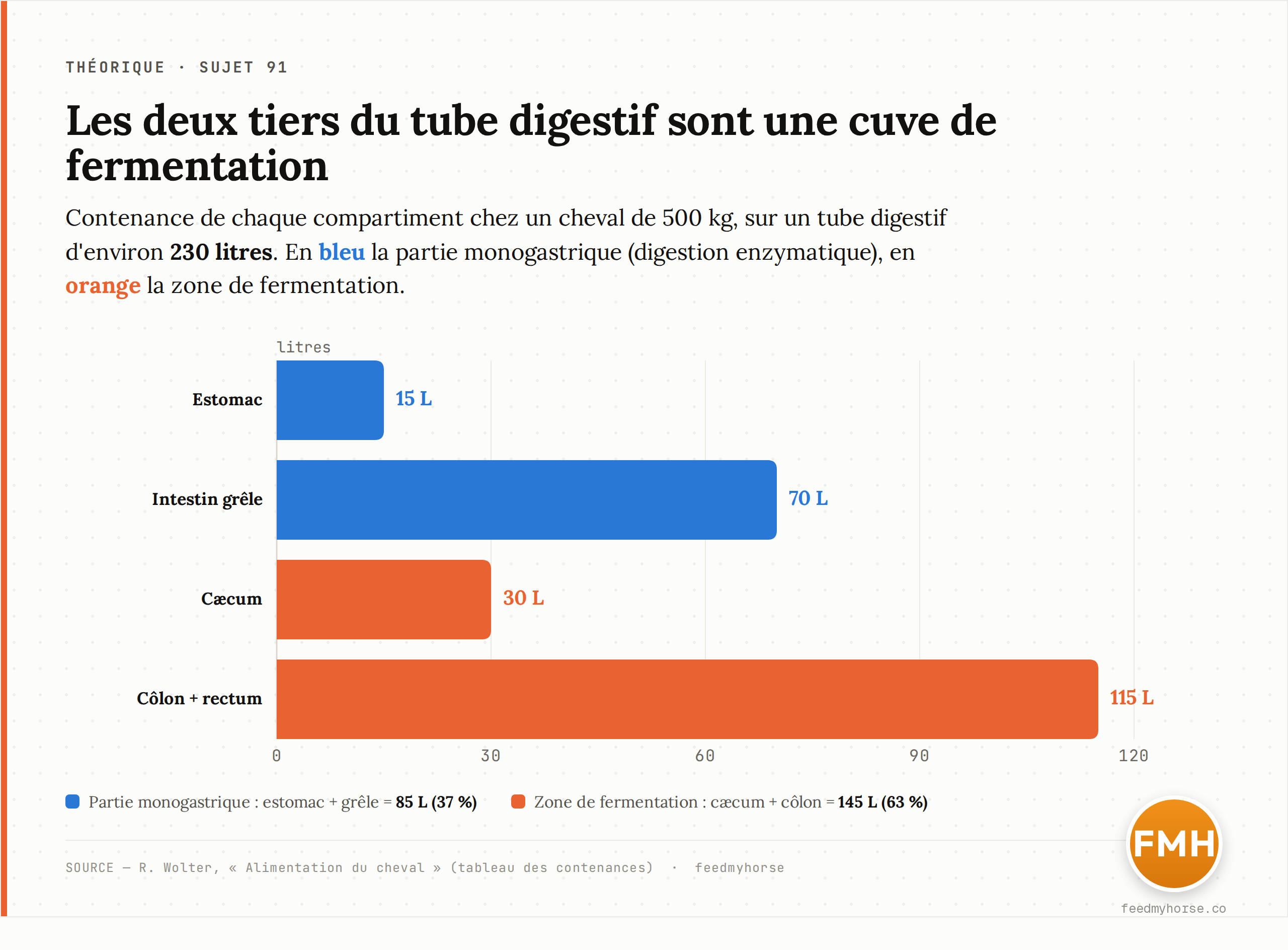 Contenance des compartiments du tube digestif chez un cheval de 500 kg (total ~230 L, d'après Wolter) : estomac 15 L, intestin grêle 70 L, cæcum 30 L, côlon + rectum 115 L. La partie monogastrique (estomac + grêle = 85 L, soit 37 %) est en bleu, la zone de fermentation (cæcum + côlon = 145 L, soit 63 %) en orange. Source : R. Wolter, « Alimentation du cheval ».