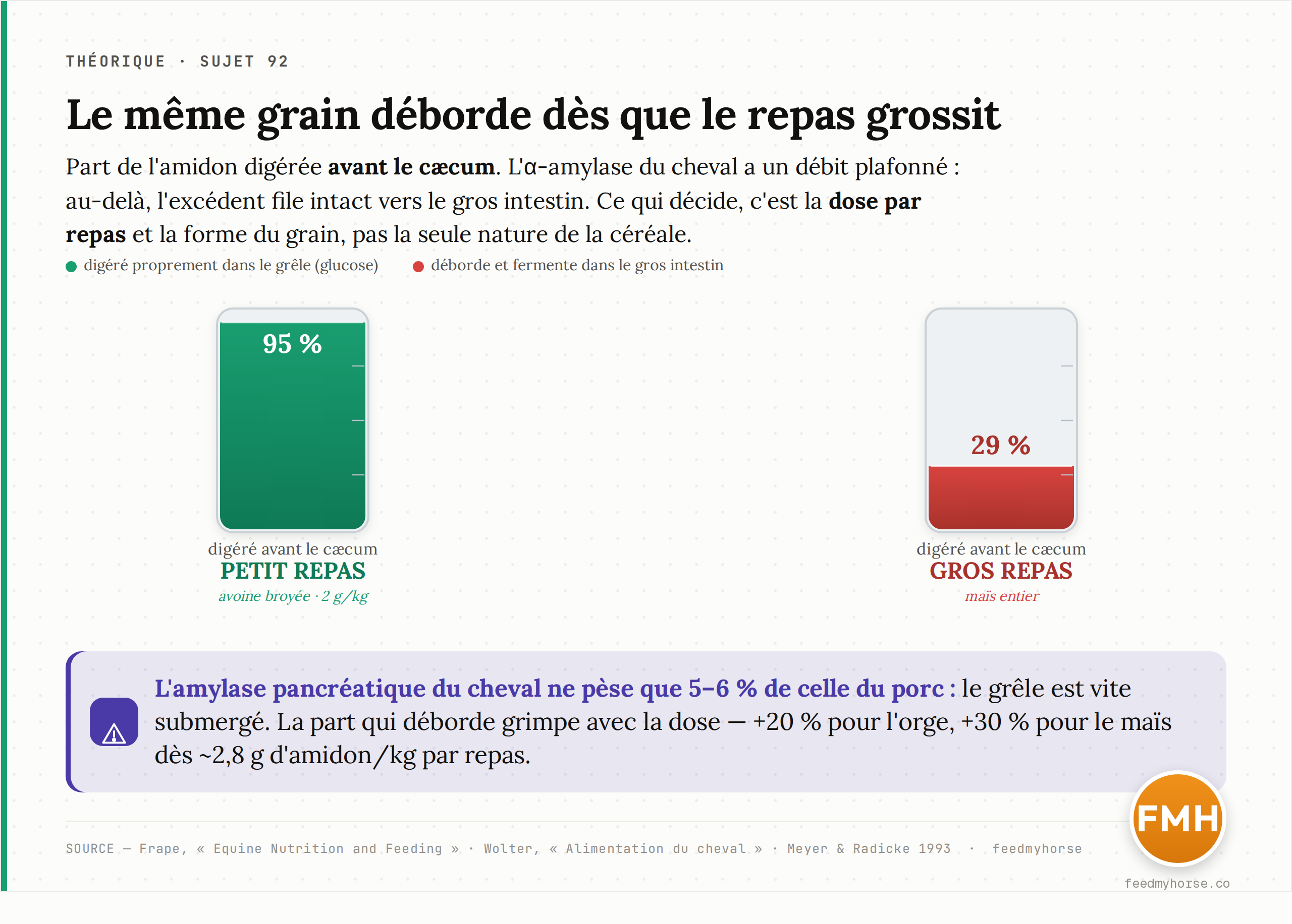 L'effet de débordement : la digestibilité pré-cæcale chute quand la dose monte. À faible dose (avoine broyée, 2 g/kg) environ 95 % de l'amidon est digéré avant le cæcum ; sur un gros repas de maïs entier, seulement 29 %. L'amylase pancréatique du cheval ne pèse que 5-6 % de celle du porc, et la part qui déborde grimpe de +20 % (orge) à +30 % (maïs) dès 2,8 g d'amidon/kg par repas. Source : Frape, Equine Nutrition and Feeding ; Wolter, Alimentation du cheval ; Meyer & Radicke 1993.