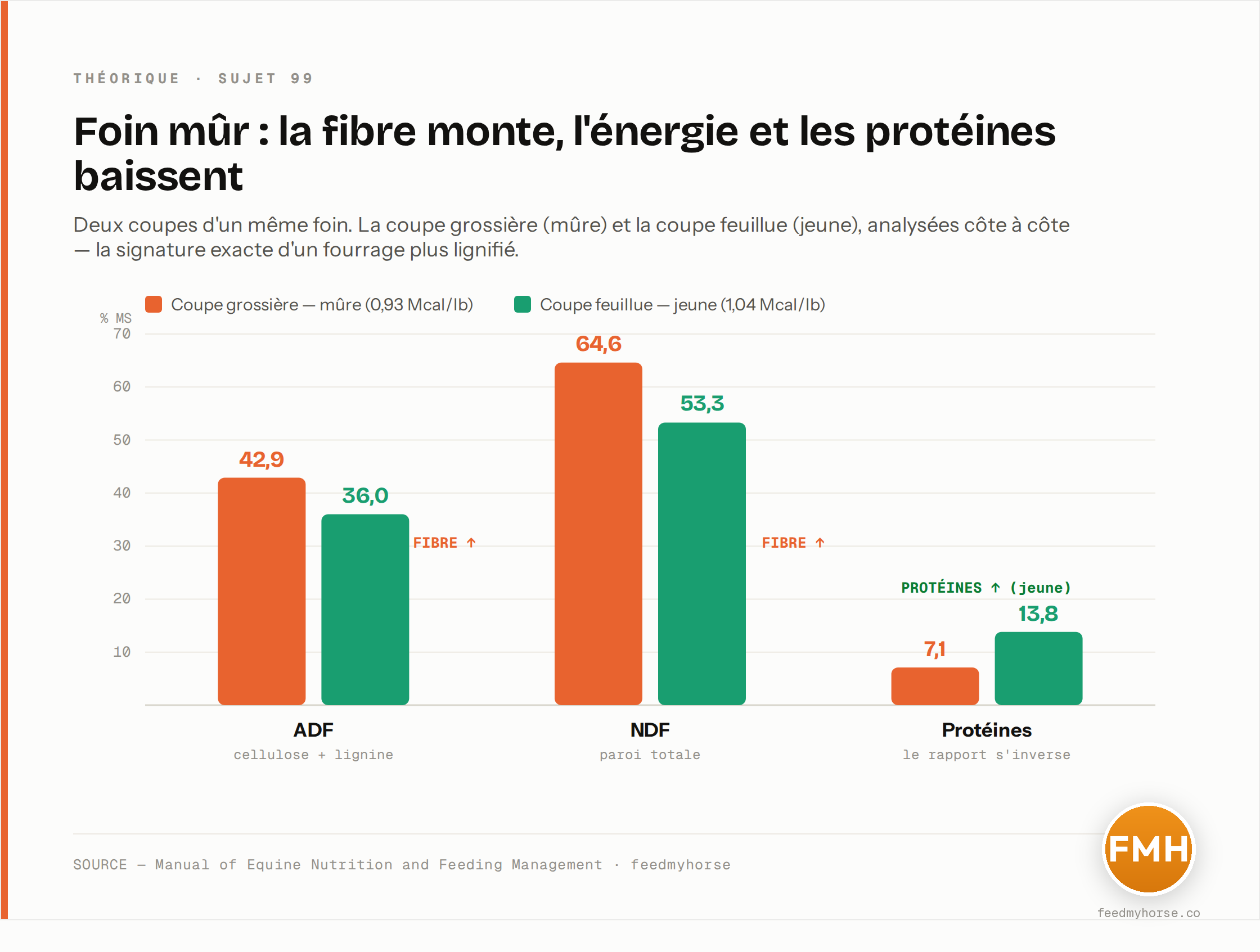 Deux coupes d'un même foin analysées côte à côte : la coupe grossière (mûre) montre plus de fibre — ADF 42,9 vs 36,0 %, NDF 64,6 vs 53,3 % — mais moins de protéines (7,1 vs 13,8 %) et moins d'énergie (0,93 vs 1,04 Mcal/lb) que la coupe feuillue (jeune). Source : Manual of Equine Nutrition and Feeding Management.